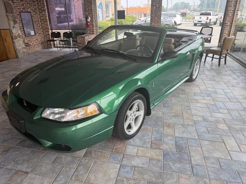 Used 1999 Ford Mustang Cobra RWD image 1