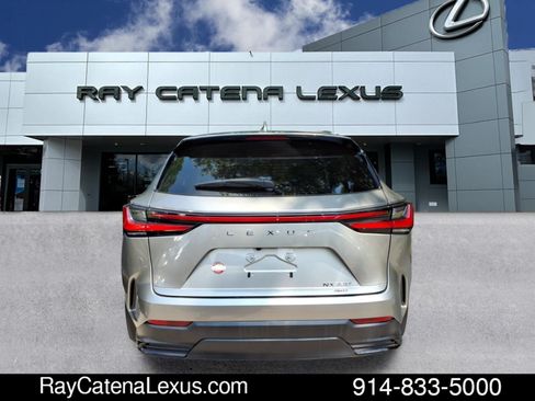 Certified 2024 Lexus NX 350 AWD w/ Cold Area Package image 5