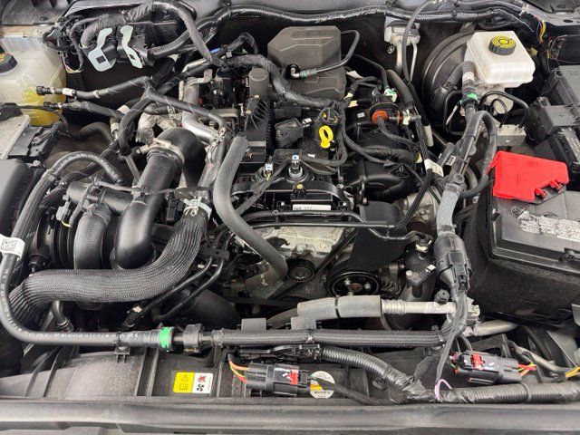 Used 2024 Ford Bronco Big Bend AWD/4WD image 11