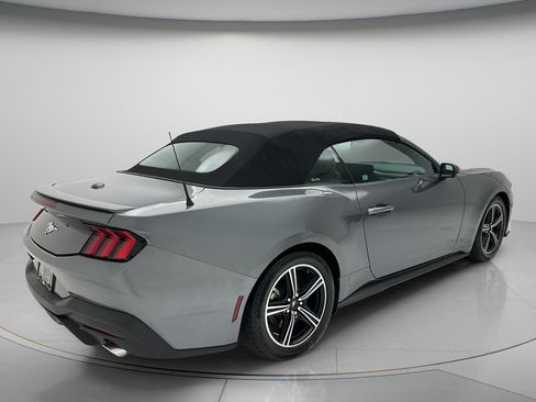 Used 2025 Ford Mustang Premium RWD image 5