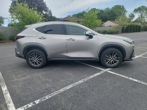 Used 2024 Lexus NX 350 AWD w/ Cold Area Package image 6