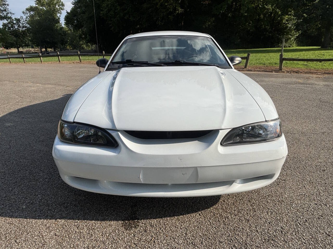 Used 1998 Ford Mustang GT RWD image 5