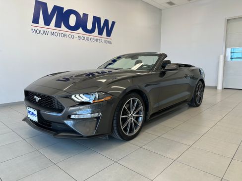 Used 2019 Ford Mustang Premium w/ Equipment Group 201A RWD image 10