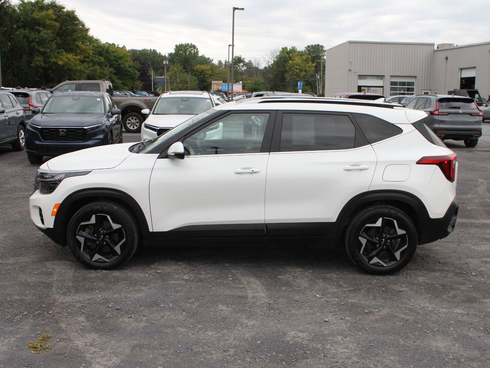 Used 2024 Kia Seltos EX AWD/4WD image 5