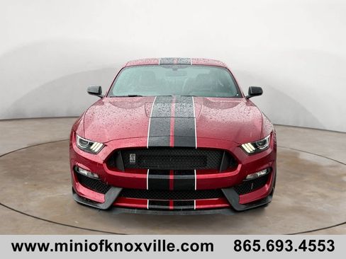 Used 2017 Ford Mustang Shelby GT350 RWD image 8