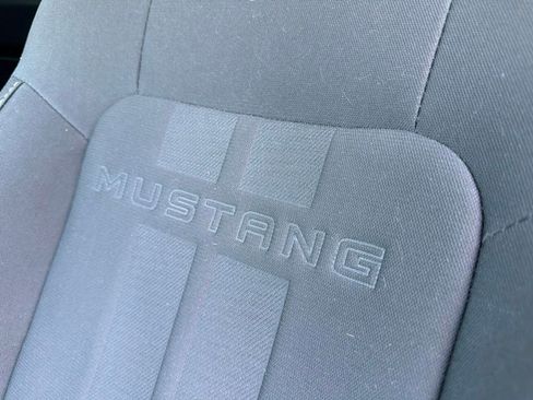 Used 2019 Ford Mustang Coupe w/ Equipment Group 101A RWD image 13