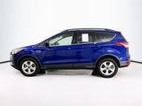 Used 2014 Ford Escape SE w/ Equipment Group 201A image 4