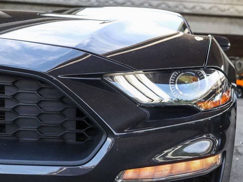 Used 2023 Ford Mustang EcoBoost w/ Equipment Group 101A image 7