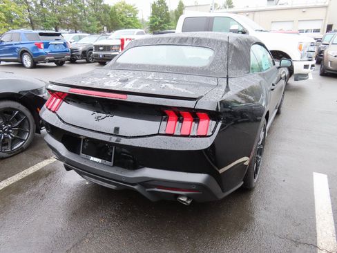 New 2025 Ford Mustang Convertible w/ Mustang Nite Pony Package image 4