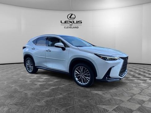 Used 2025 Lexus NX 350h AWD w/ Rear Seat Package image 2