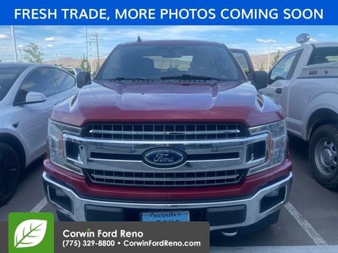 Used 2019 Ford F150 XLT w/ Equipment Group 301A Mid AWD/4WD image 6