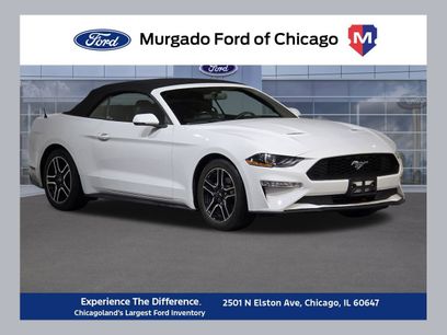 Used 2018 Ford Mustang Premium w/ Equipment Group 201A