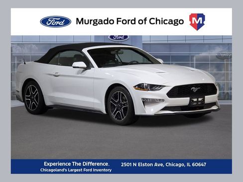 Used 2018 Ford Mustang Premium w/ Equipment Group 201A image 1