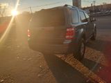Used 2010 Ford Escape Limited image 3