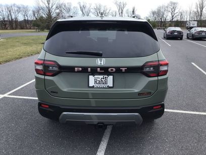 New 2026 Honda Pilot TrailSport