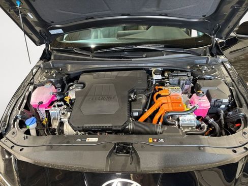 New 2025 Hyundai Elantra Limited image 23