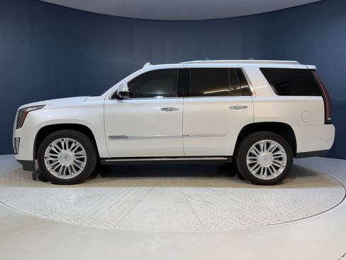 Used 2017 Cadillac Escalade Platinum AWD/4WD image 2