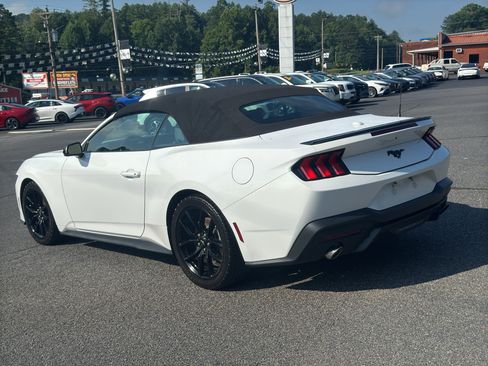 Used 2024 Ford Mustang Convertible w/ Mustang Nite Pony Package RWD image 7