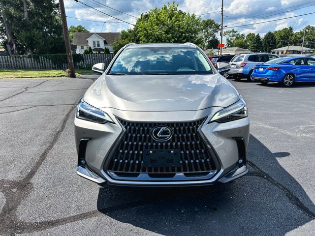 Used 2025 Lexus NX 350h AWD w/ Cold Area Package image 2