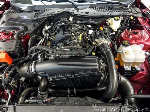 Used 2025 Ford Mustang Premium w/ Mustang Nite Pony Package RWD image 23