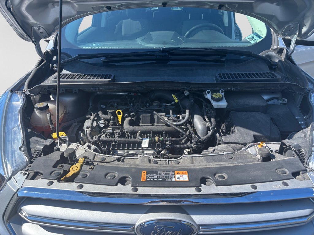 Used 2019 Ford Escape SE AWD/4WD image 32