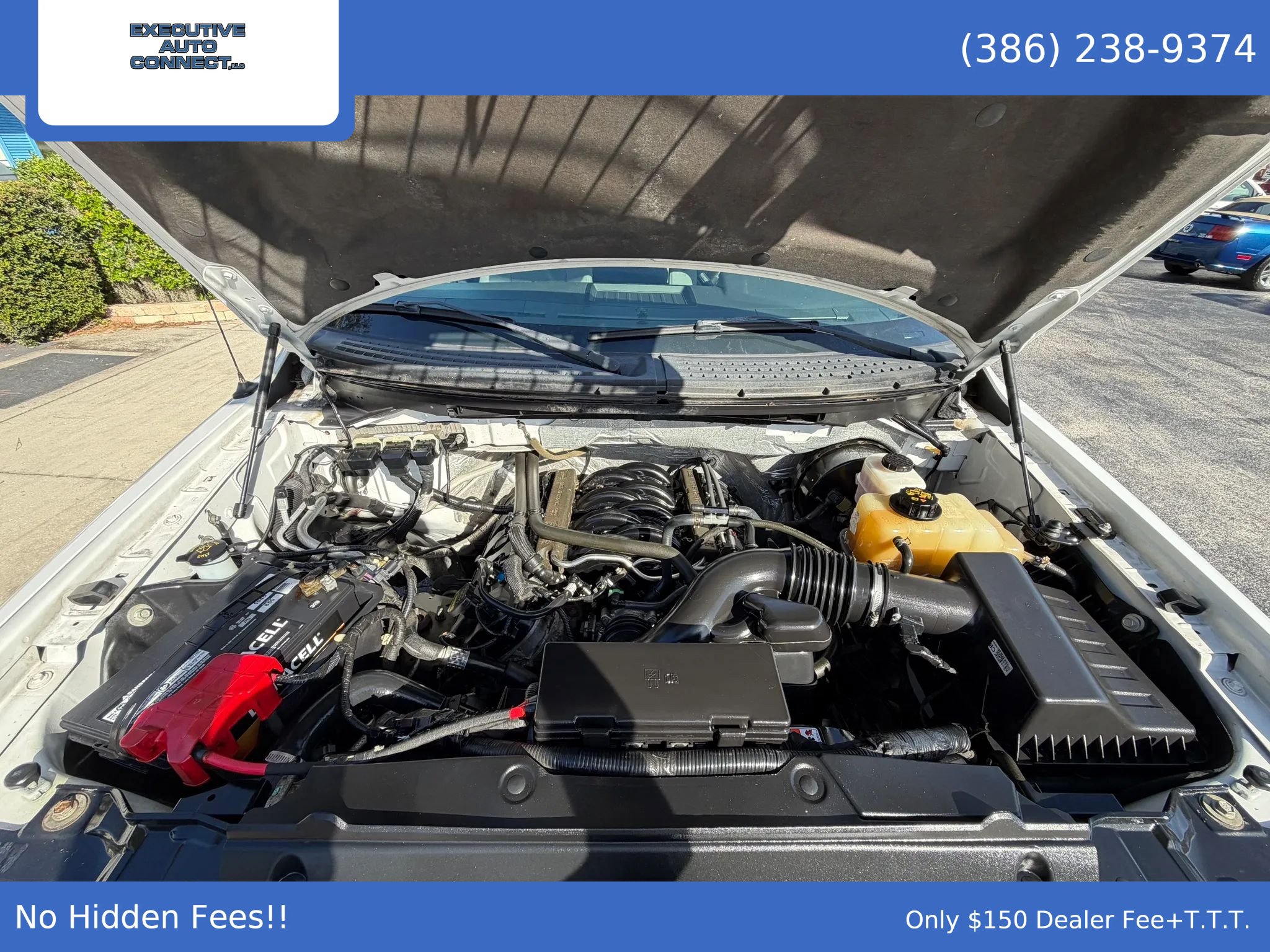 Used 2013 Ford F150 XLT w/ Luxury Equipment Group RWD image 10