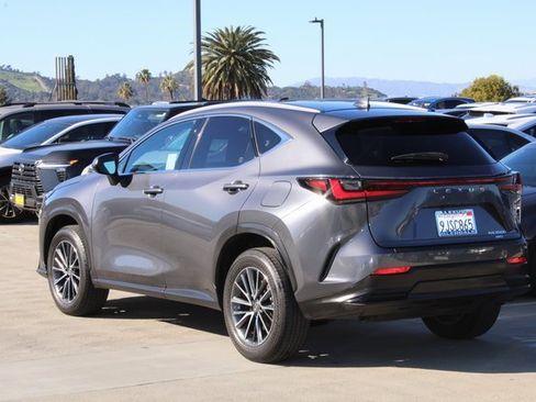 Certified 2024 Lexus NX 350h AWD w/ Premium Package image 19