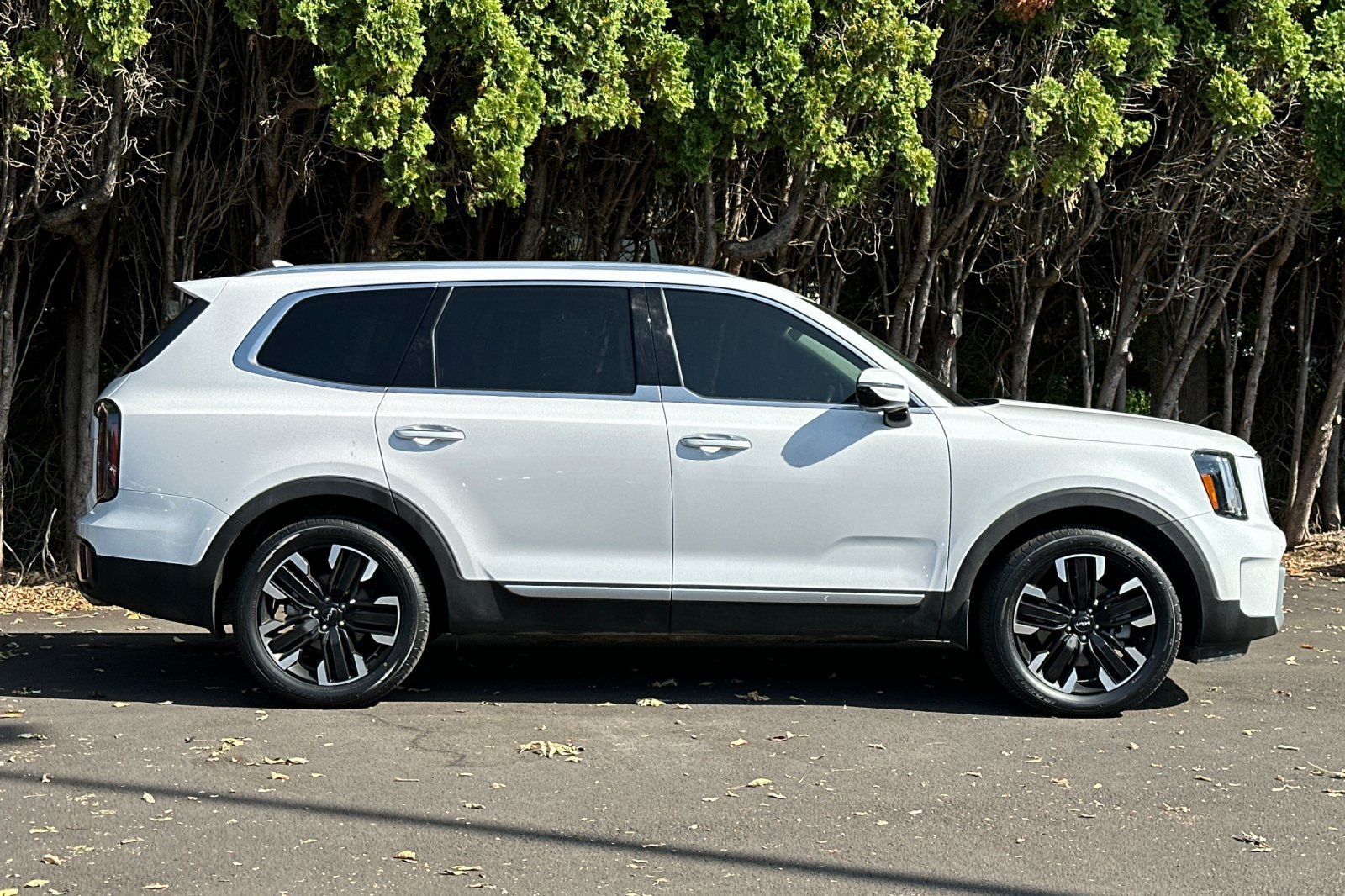 Certified 2025 Kia Telluride SX Prestige AWD/4WD image 3