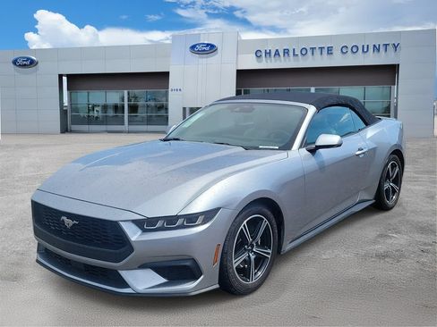 Used 2024 Ford Mustang Premium RWD image 2