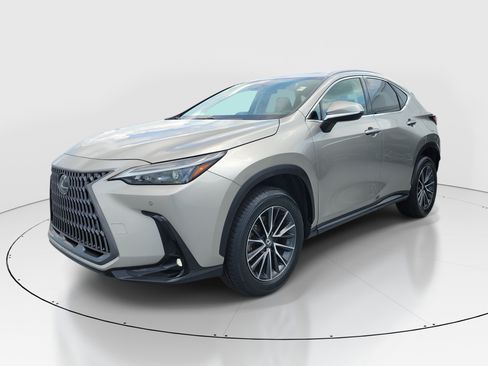 Certified 2024 Lexus NX 250 FWD w/ Cold Area Package image 3