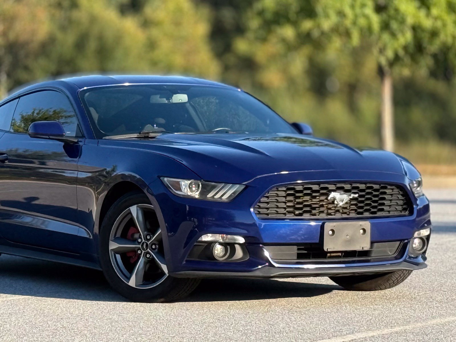Used 2016 Ford Mustang Coupe w/ Equipment Group 051A RWD image 43