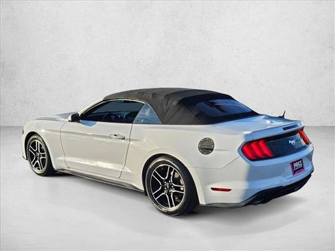 Used 2019 Ford Mustang Premium image 8