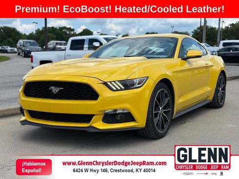 Used 2017 Ford Mustang Premium w/ Wheel & Stripe Package RWD image 1