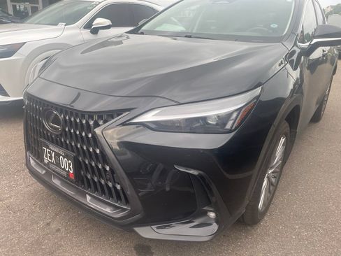 Used 2025 Lexus NX 350h AWD w/ Cold Area Package image 5