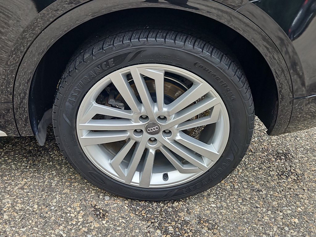 Used 2019 Audi Q5 2.0T Premium Plus w/ Premium Plus Package AWD/4WD image 8
