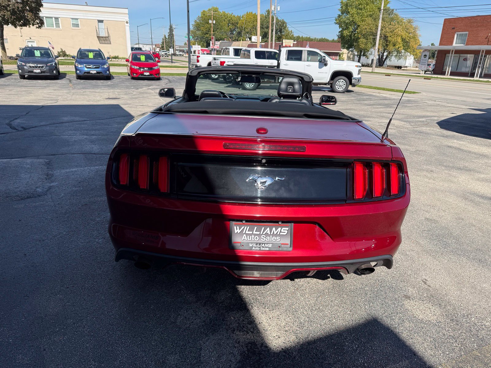 Used 2017 Ford Mustang Premium RWD image 4