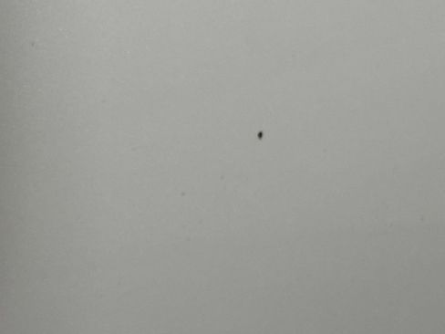 Used 2010 Ford Explorer Limited image 32