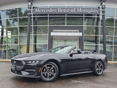 Used 2025 Ford Mustang Premium