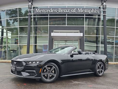Used 2025 Ford Mustang Premium RWD image 1