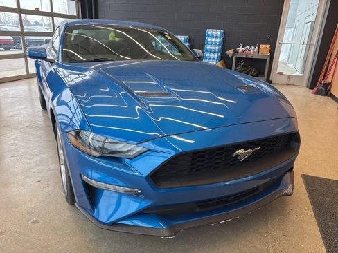 Used 2019 Ford Mustang Coupe w/ Equipment Group 101A image 2