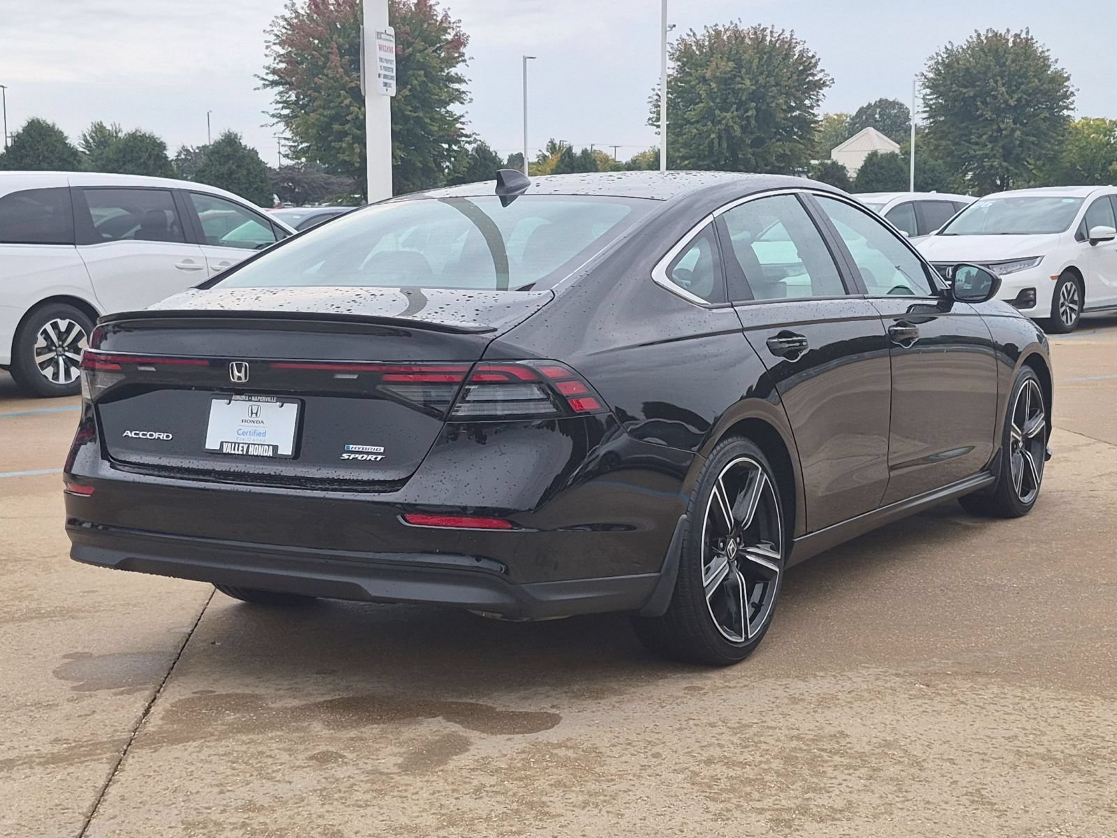Used 2025 Honda Accord Sport image 6