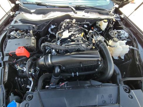 Used 2024 Ford Mustang Coupe image 13
