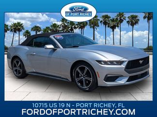 Certified 2024 Ford Mustang Premium RWD video 1