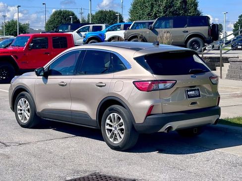 Used 2020 Ford Escape SE AWD/4WD image 4