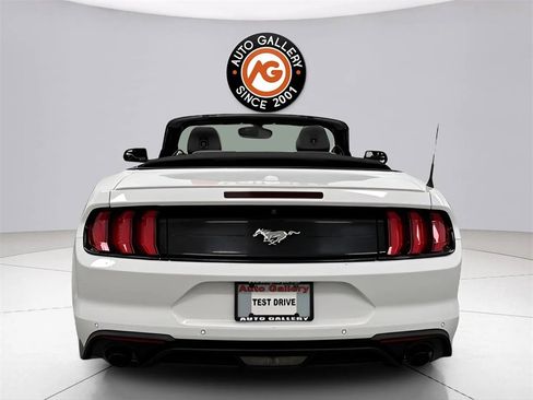 Used 2019 Ford Mustang Premium image 11