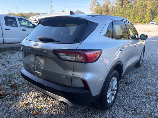 Used 2020 Ford Escape SE AWD/4WD image 6
