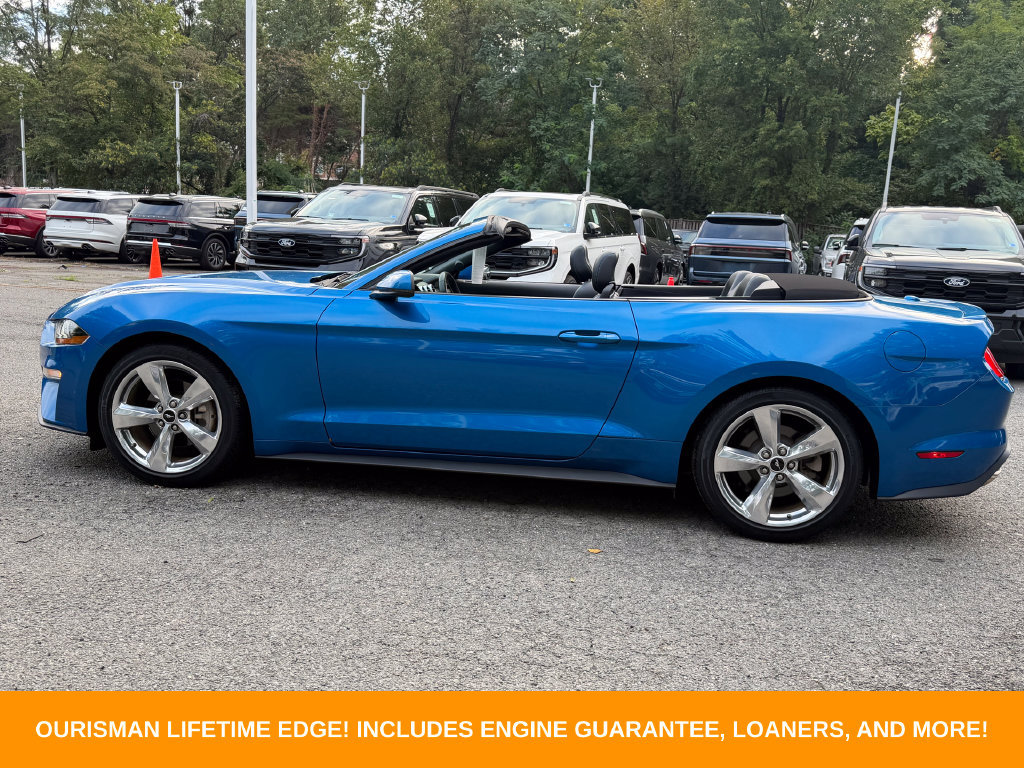 Used 2019 Ford Mustang Premium w/ Equipment Group 201A RWD image 32
