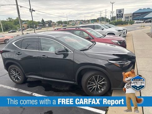 Certified 2024 Lexus NX 350h AWD w/ Cold Area Package image 3