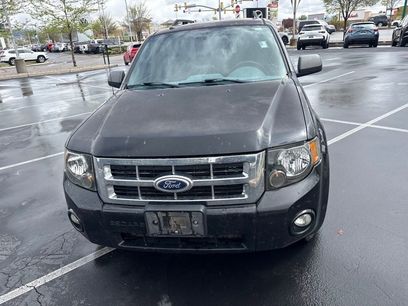 Used 2011 Ford Escape XLT