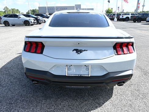 New 2026 Ford Mustang Coupe w/ Mustang Nite Pony Package RWD image 3